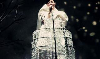 王菲上海演唱会 王菲上海演唱会