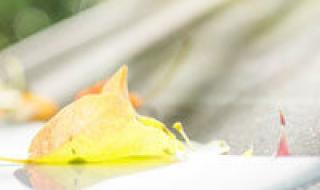 网络红人程琳qq 网络红人程琳qq