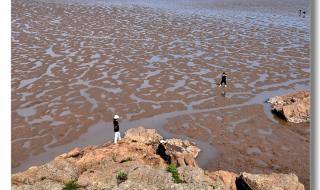 大海啊故乡钢琴伴奏