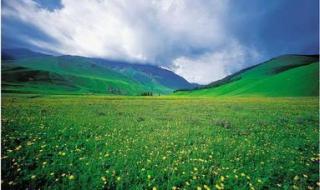 伊犁那拉提草原 伊犁那拉提草原