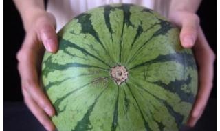 西瓜怎么挑 西瓜怎么挑