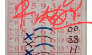 七星彩今晚开奖结果 七星彩今晚开奖结果