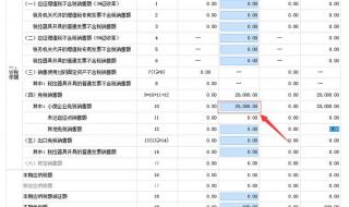 防伪税控服务费抵扣