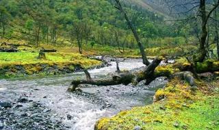 勇者大挑战 勇者大挑战