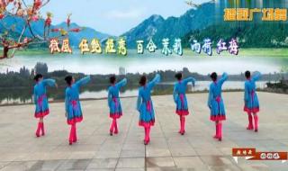 天边的骆驼广场舞