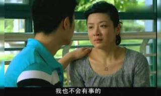 岳红主演的电视剧 岳红主演的电视剧