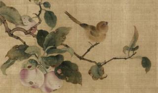 一朵化妆品 一朵化妆品