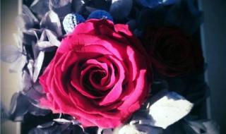 我用一生一世的心 我用一生一世的心