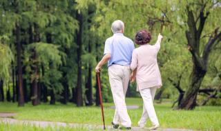 皮格马利翁之恋 皮格马利翁之恋