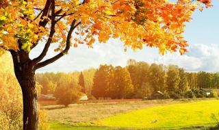 笑看人生什么意思 笑看人生什么意思