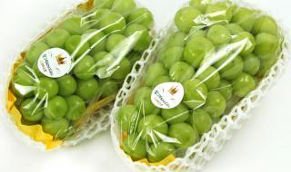 晴王葡萄价格大跳水 晴王葡萄价格大跳水