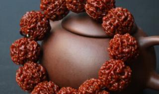 金刚菩提子价格参照