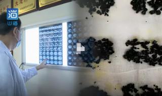 河南多地发布烟花政策 河南多地发布烟花政策