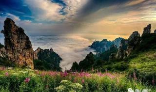 五月花六月丁香花 五月花六月丁香花