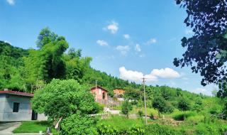 江西省抚州市临川区