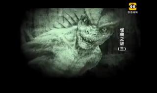 大侦探怪兽之谜全集 大侦探怪兽之谜全集