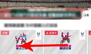 东京残奥会奖牌榜明细 东京残奥会奖牌榜明细